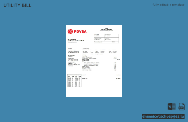 Beispiel einer Gasrechnung des venezolanischen Energieversorgers PDVSA